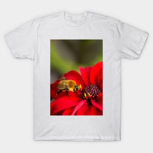 Busy Bee T-Shirt